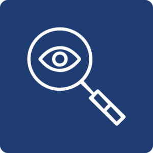 Asesoría en Temas de Transparencia y Gobierno Abierto